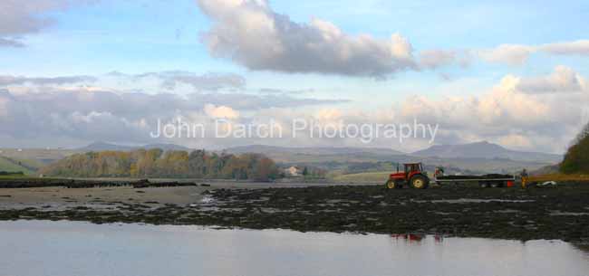 Click to see next picture