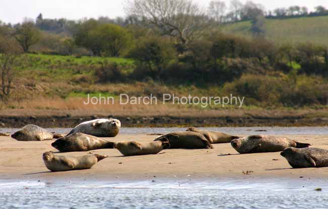 Click to see next picture