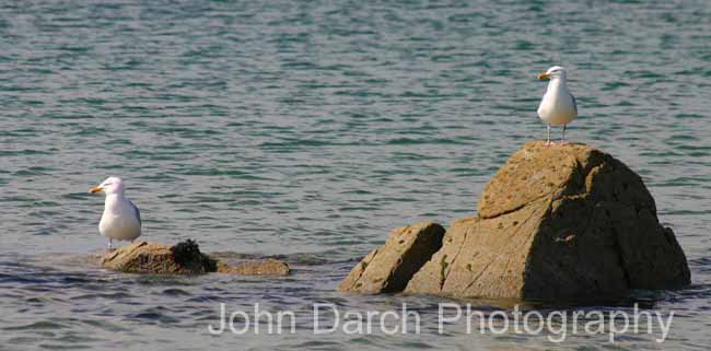 Click to see next picture