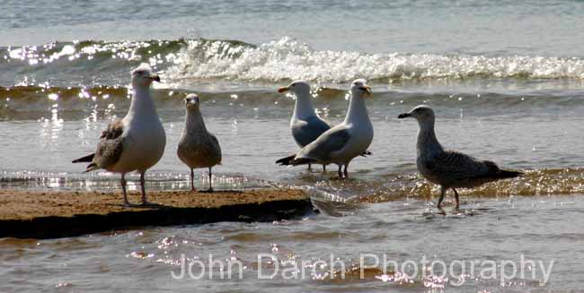 Click to see next picture