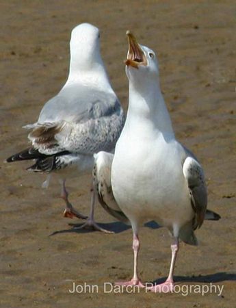 Click to see next picture