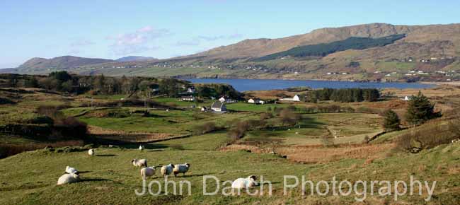 Click to see next picture