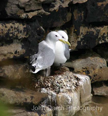 Click to see next picture