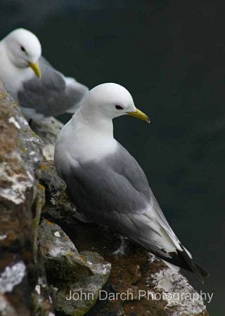 Click to see next picture