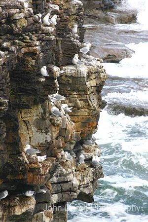 Click to see next picture