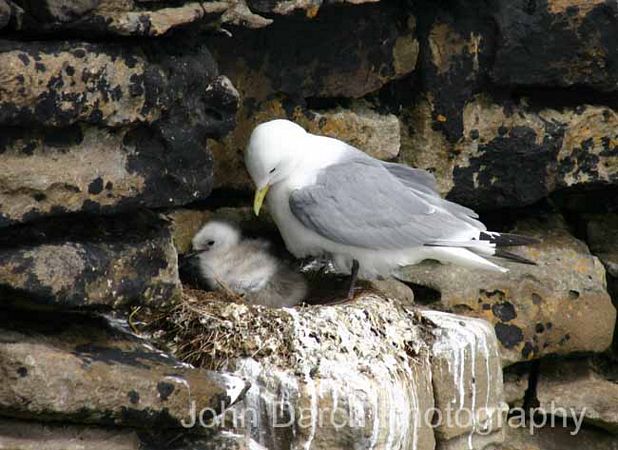 Click to see next picture