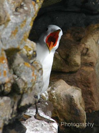 Click to see next picture