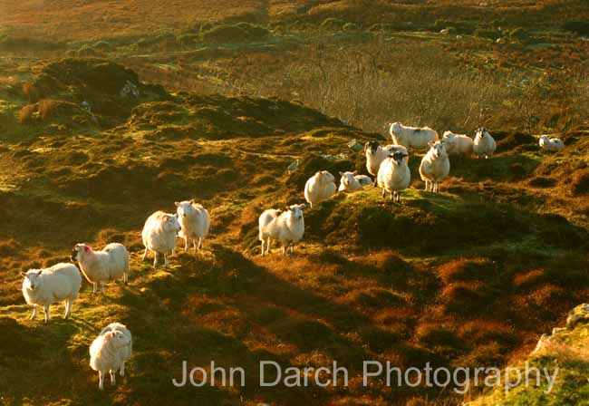 Click to see next picture