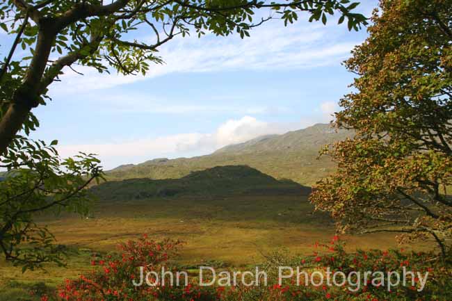 Click to see next picture