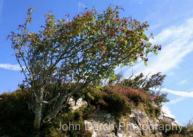 Click to see next picture