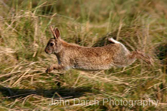 Click to see thumbs page