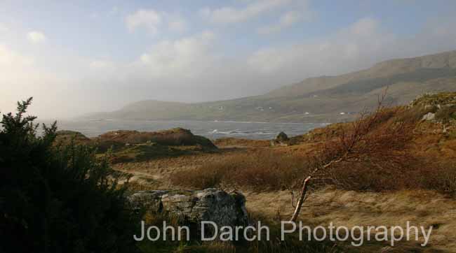 Click to see next picture