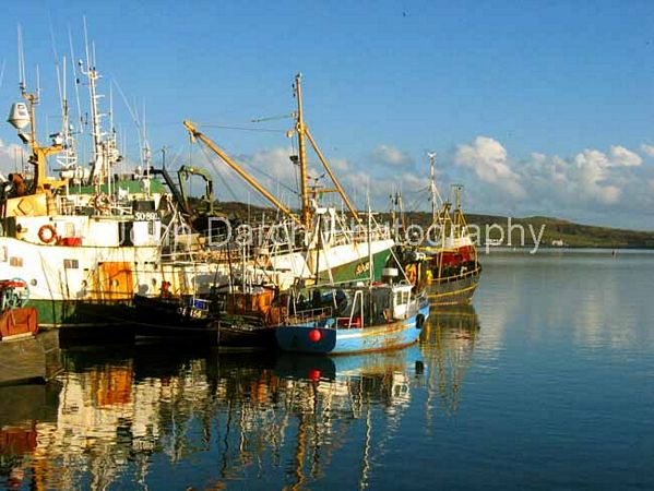 Click to see next picture