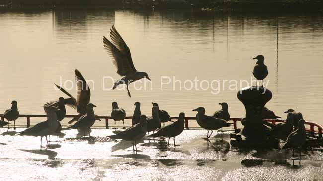 Click to see next picture