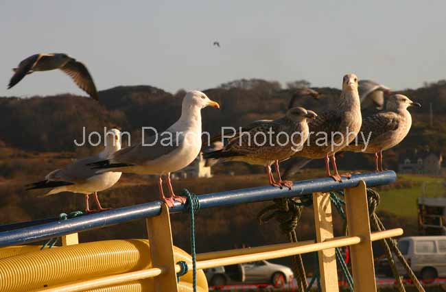 Click to see next picture