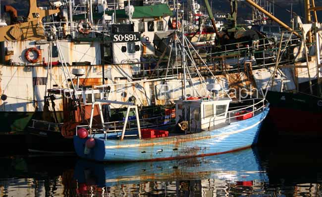 Click to see next picture