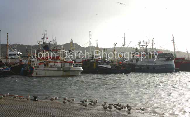 Click to see next picture